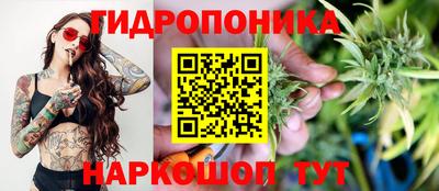 jwh Пенза